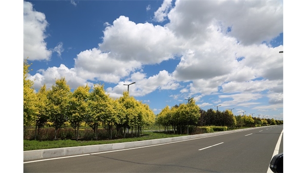 標(biāo)題：集寧察哈爾大街綠化
瀏覽次數(shù)：9541
發(fā)表時(shí)間：2020-10-17