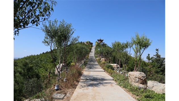 標(biāo)題：張家口太子山山體修復(fù)
瀏覽次數(shù)：19350
發(fā)表時(shí)間：2020-11-12