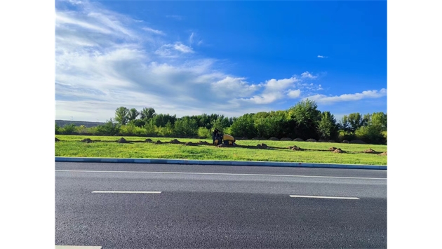 標(biāo)題：伊利現(xiàn)代智慧健康谷道路綠化建設(shè)項(xiàng)目
瀏覽次數(shù)：2501
發(fā)表時(shí)間：2023-11-07